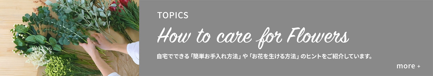 TOPICS：How to care Flower ご自宅で出来る「基本のお手入れ」を取り入れて、花のある暮らしを“長く”楽しみませんか？