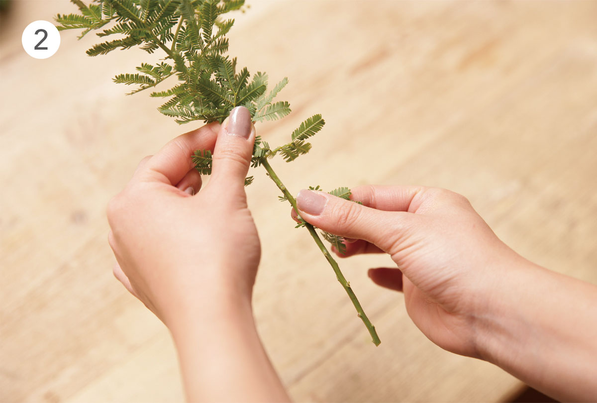 HOW TO CARE FOR FLOWER：下葉処理について